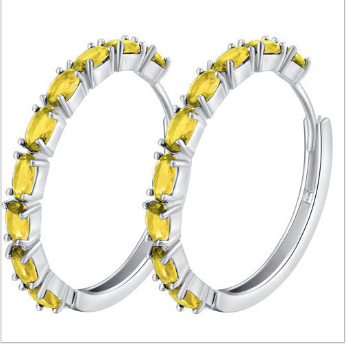 Chic Oval Zircon Earrings