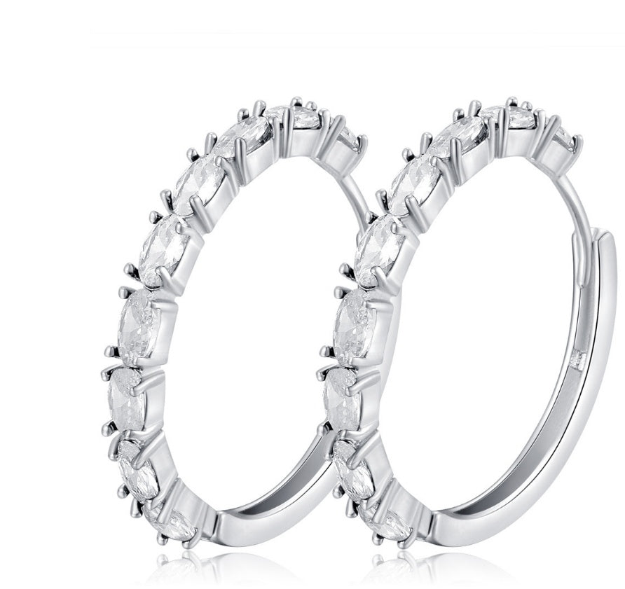 Chic Oval Zircon Earrings