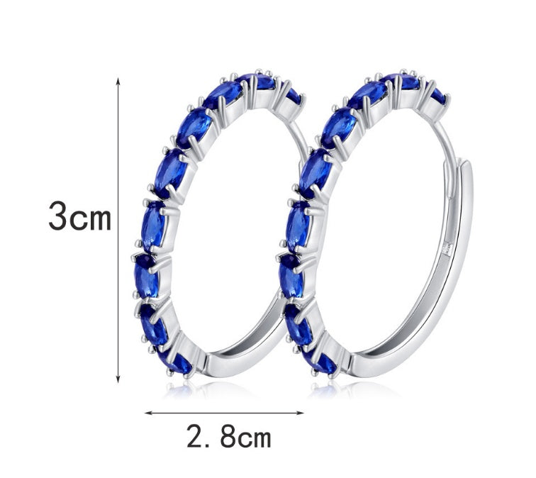 Chic Oval Zircon Earrings